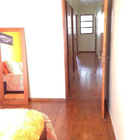 Apartment Cosy One-bed In Lx Lissabon
